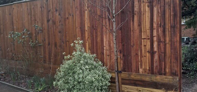 New Fencing in Droitwich