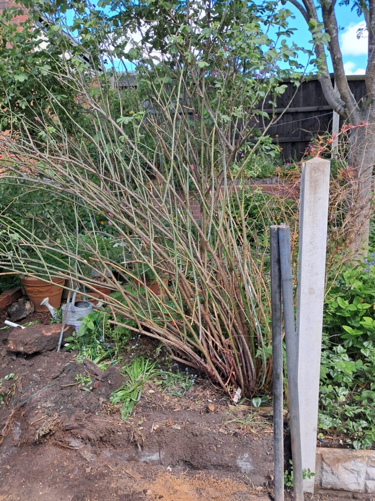 garden fencing installation in brierley hill